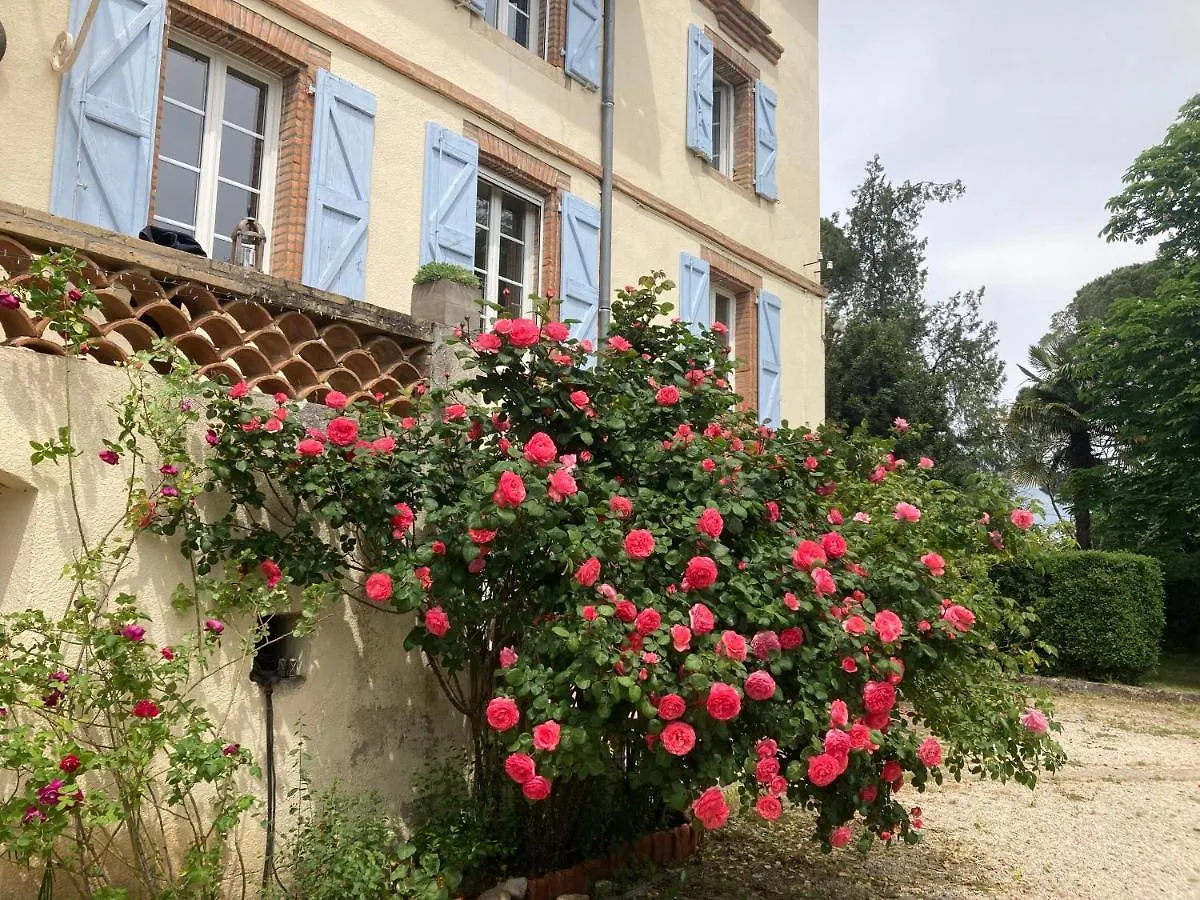 Domaine De Menerque - Petit Chateau Avec Piscine Lisle-sur-Tarn Villa